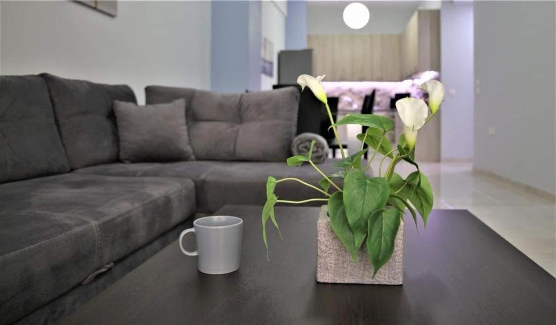 Lovely Apartment In The Center Of Athens. Εξωτερικό φωτογραφία